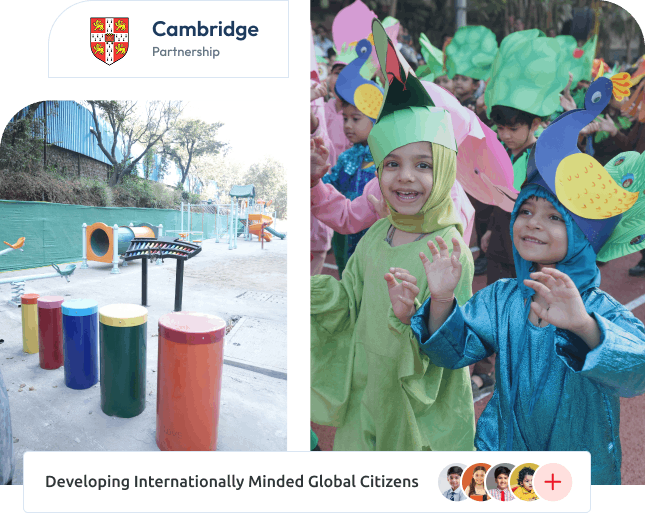 ABOUT SINGHANIA INTERNATIONAL